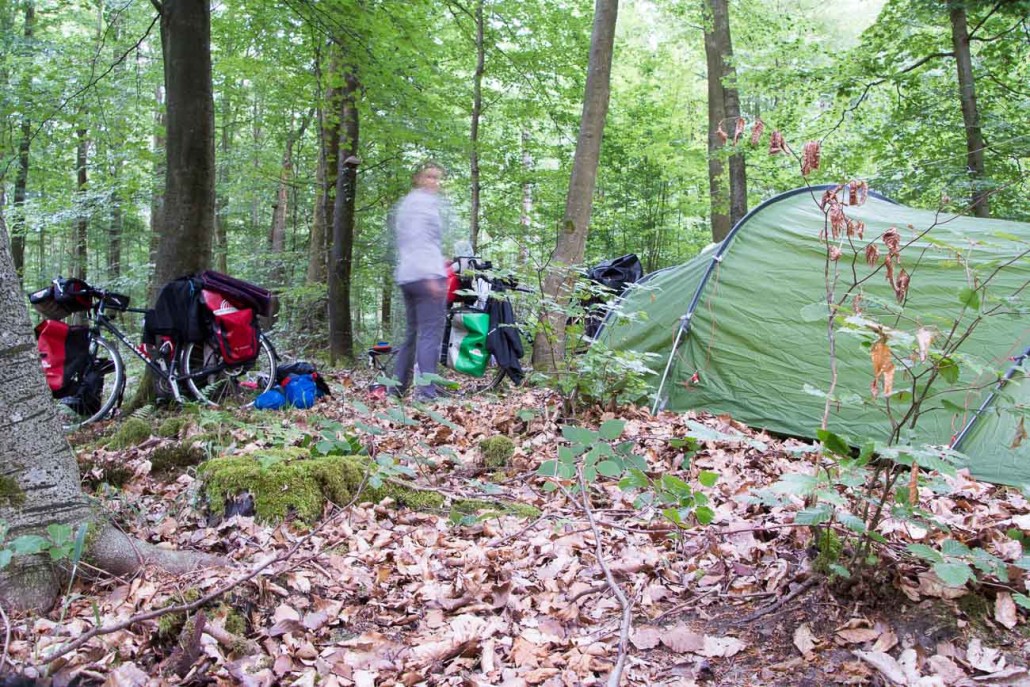 Wild camping in the Retz Forest
