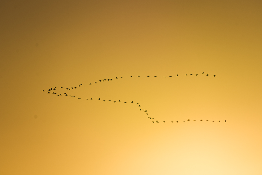 With visas in hand, we are now free to join these fellas on their journey south