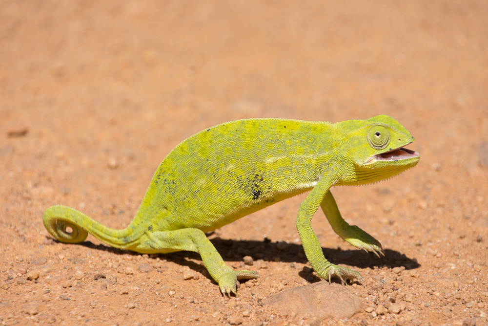 Cycling western Tanzania-1790