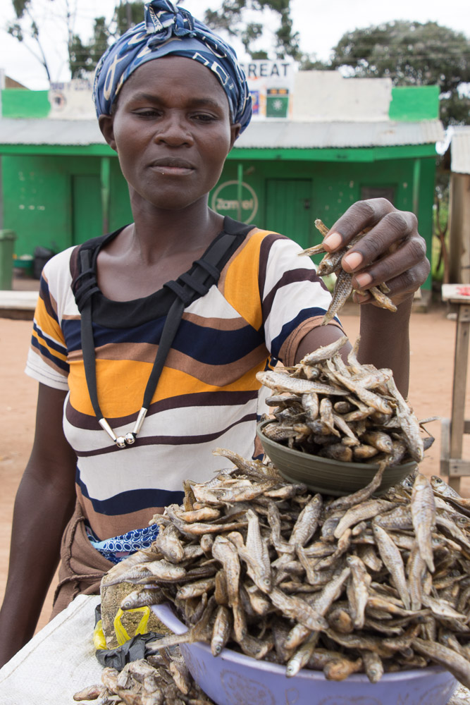 The local staple of dried fish. They stink!