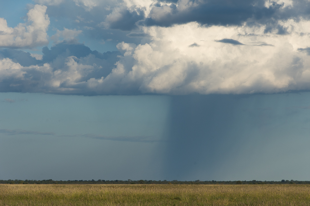 A 'cartoon-style- rain cloud
