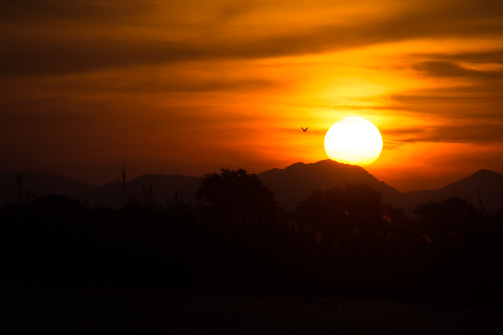 Zambia and Zimbabwe-3653