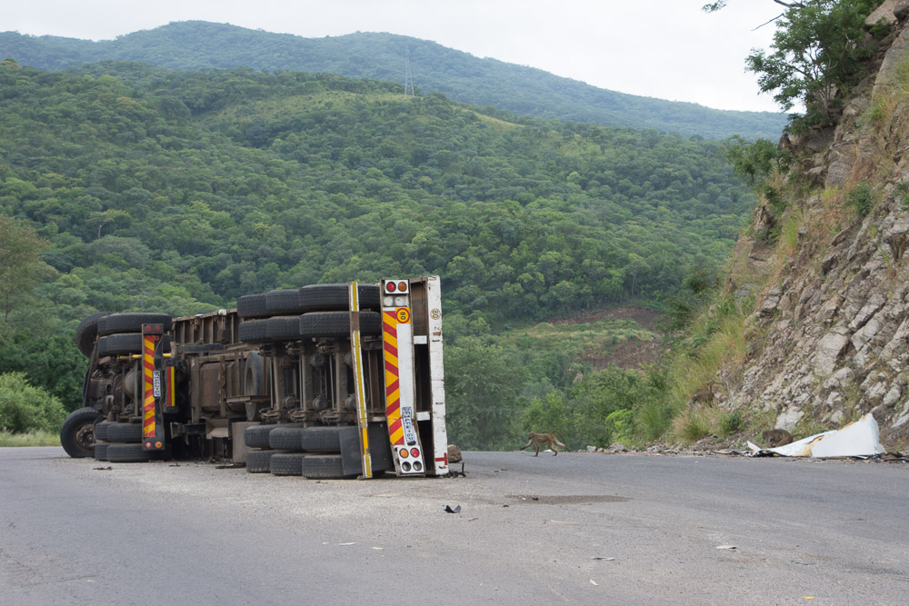 Zambia and Zimbabwe-3878