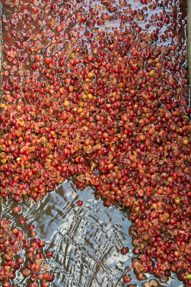 Zambia and Zimbabwe-3897